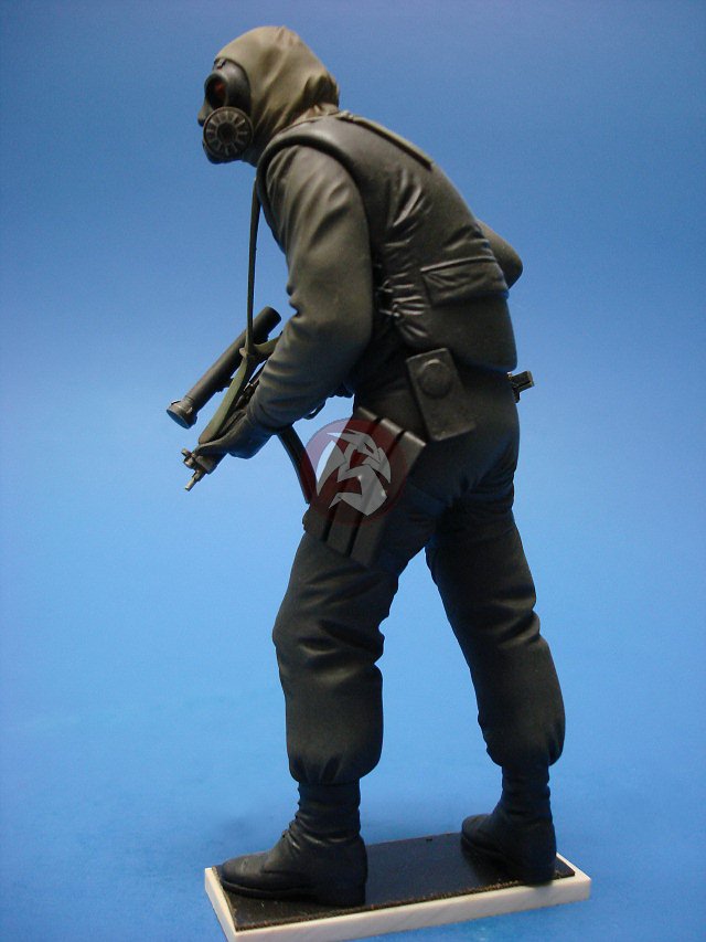 sas model figures